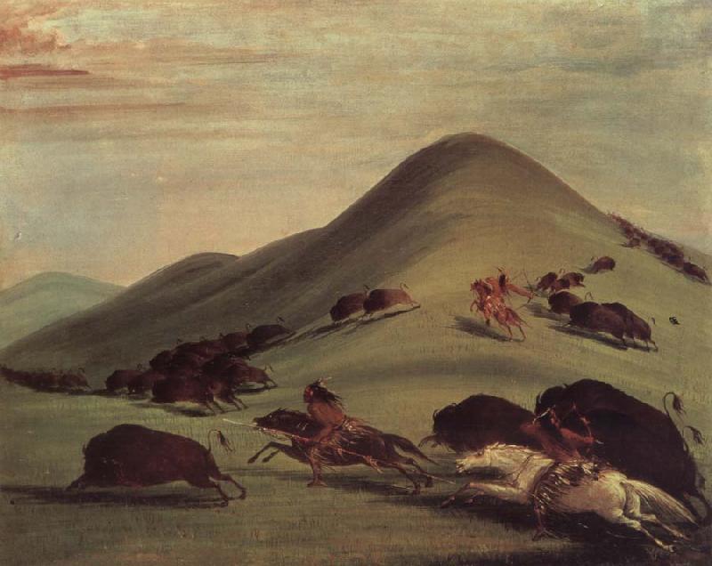 George Catlin Buffalo Chase Over Prairie bark